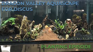 DRAGON STONE VALLEY AQUASCAPE FOR DISCUS : PLANTING EPISODE