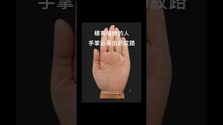 積有陰德的人手掌必長出此紋 #命理 #手相 #shortsvideo