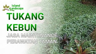 Jasa Perawatan Taman - Tukang Kebun Jabodetabek