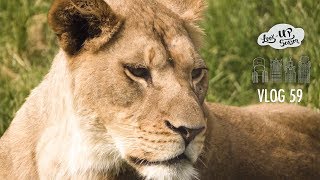 Tour the Detroit Zoo.. UP CLOSE and personal!