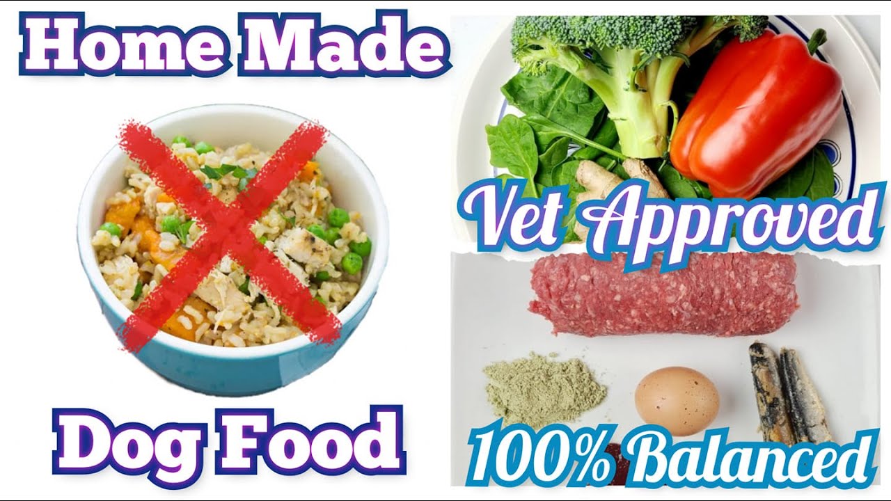 Homemade Dog Food Recipe | Vet Approved | 100% Balanced #barfdiet # ...