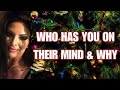 ALL SIGNS TAROT ~ WHO HAS YOU ON THEIR MIND & WHY ~ DECEMBER 2024 *TIME STAMPED*