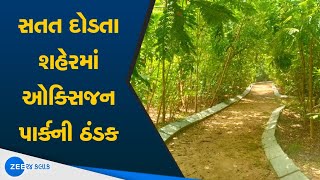 Oxygen Park in Ahmedabad city | સાયન્સ સિટી વિસ્તારમાં તૈયાર કરાયું ગીચ જંગલ |Forest In science City