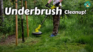 How to Clear Underbrush || Clearing Overgrown Land || Under Brushing || Best Way to Clear Underbrush