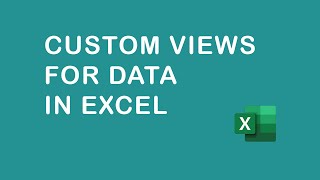 How to use custom views for data in Excel