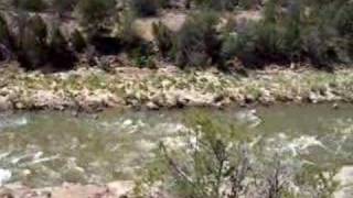 Chama River on the Santa Fe National Forest New Mexico