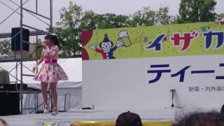 りんりん 2017/5/21 第66回ひろしまロコドルフェスティバル＠広島市民球場跡地in居酒屋大サーカス