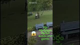 వర్షం వచ్చేప్పుడు చెట్లకింద వండకుడదు||#shorts #youtubeshorts