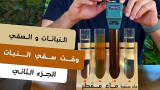 أسهل طريقة لمعرفة موعد سقي النباتات - Easiest way to know when to water your plants