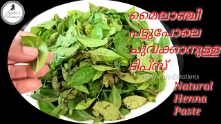 മൈലാഞ്ചി നല്ല പോലെ ചുവക്കാൻ // simple eco friendly Mehandi at home || DIY henna paste for white hair