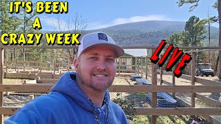 Sometimes It S A Fight Tiny House Homesteading Off Grid Cabin Build Diy