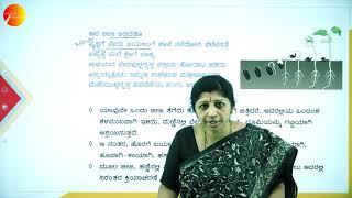 DAY 24 | ಕನ್ನಡ  | III SEM | B.C.A | ವಚನಗಳು - ಮೋಳಿಗೆ ಮಹಾದೇವಿ  | L1