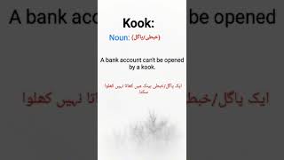 Kook sentence #kook meaning #noun#