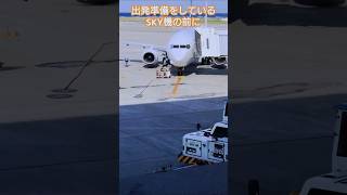 【ショートグラハン動画】🍌出発準備をしているSKY機の前に、、、いつもグランドハンドリングありがとうございます！Thank you for always ground handling!