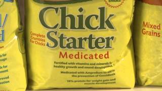 Medicated Chick Starter Feed from Chicken Condos