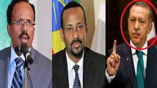 DAAWO Xog Rasmi : Farmaajo oo diiday in dhinac loo riixo TURKIGA