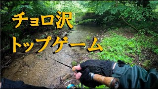 【渓流ルアー】梅雨時期はチョロ沢でのトップゲームが良し