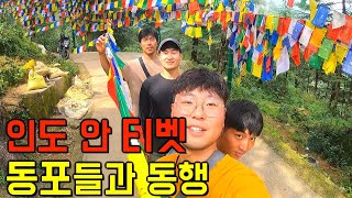 인도 안 티벳에서 동포들과의 동행 - [세계여행29]