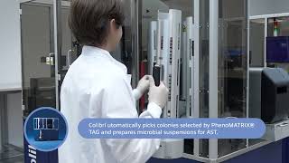 Copan - Clinical bacteriology automation