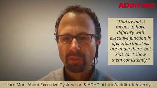 The ADHD-Executive Dysfunction Link