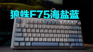 狼蛛F75海盐蓝