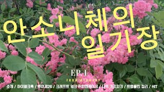 (Vlog) 애들 학교 보내고 뭐 했냐면요…  #입독1년차 #독일일상 #독일맘 #독일라이프 #하이델크룩 #루이제26