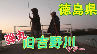 【FCだより】弾丸徳島県旧吉野川ツアー陸王金森隆志さんが釣った場所で釣りたいんだ#徳島県旧吉野川#遠征#釣りガール