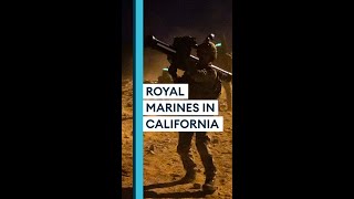 Royal Marines defend against air attacks in USA exercise 🇺🇸 #Shorts