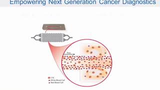 Making CTCs Clinically Relevant: A Next Generation CTC Enrichment System