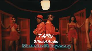 Macvoice Ft Rayvanny - Tamu (Official Audio) #nextlevelmusic #wcbwasafi