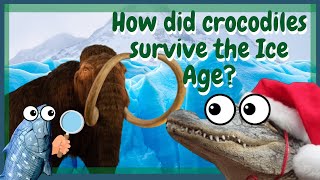 How Did Crocodiles Survive the Ice Age?