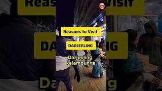 5 Reasons to visit Darjeeling in Summer 🌞🏝️ from South ⬇️ Comment \