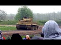 tiger day 2014 tiger 1 tiger 101