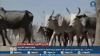 ፋሽስቱ የአብይ ቡድን በምስራቅ ሸዋ ዞን በቦሰት ወረዳ በህጻናት ላይ ግድያና አፈና እያካሄደ ነው   ኦ ኤም ኤን