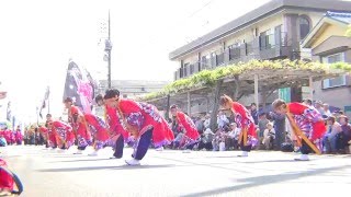 よさこいソーラン楽舞　in　春日部藤まつり　２０１６