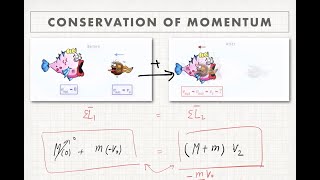 Clip 6 Momentum Conservation