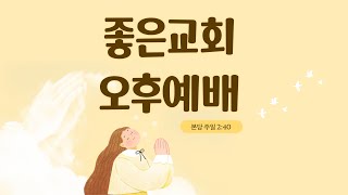 [배곧좋은교회 오후예배] 25.02.09 (요한복음 21:15-29)