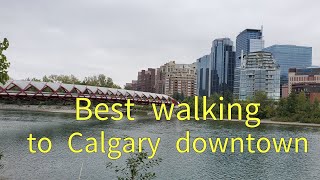 🇨🇦Walking 11km along the Bow river to Calgary downtown/캐나다 캘거리.보우강을따라 다운타운까지 걷기