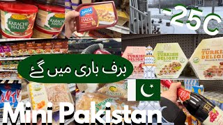 -25C SnowStorm Me Gy Mini Pakistan in Canada 🇨🇦 | Snow Storm in Canada | Grocery in Canada 🇨🇦