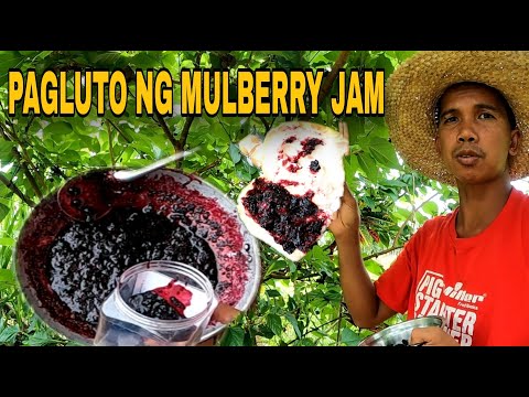 mulberry jam