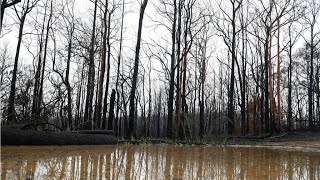 En Australie, des orages éteignent les feux à l’est… et provoquent des inondations