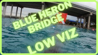 Blue Heron Bridge Very Low Visibility Dive