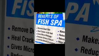 Fish spa Kerala #fishspa #kollam #karunagappally