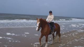 Strandrit Manege De Seeruyter Vlieland 2017