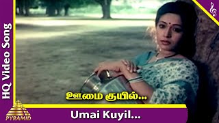 Umai Kuyil Onnu Video Song | Ellaichami Tamil Movie Songs | R Sarathkumar | Rupini | Pyramid Music