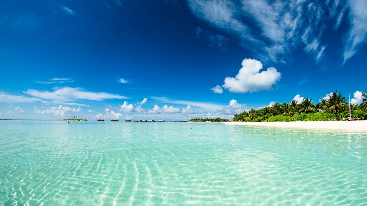 🌴 Ocean Ambience On A Tropical Island (Maldives) With Soothing Waves ...