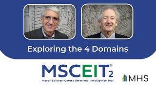 MSCEIT® 2 | Exploring the 4 Domains