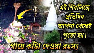 Most mysterious mahadev temple | প্রতিদিন ভোরে আপনা থেকেই পুজো হয় 😱 গায়ে কাঁটা দেওয়া অলৌকিক রহস্য..