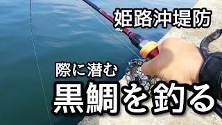 [チヌ(黒鯛)ヘチ釣り]姫路沖堤防でチヌを釣る