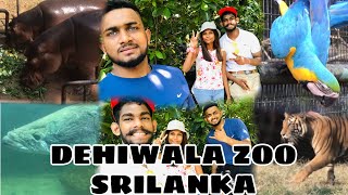 Dehiwala Zoo Sri Lanka  දෙහිවල සත්වෝද්‍යානය 2024 #youtube #animals #zoo #dehiwalazoo #foryou